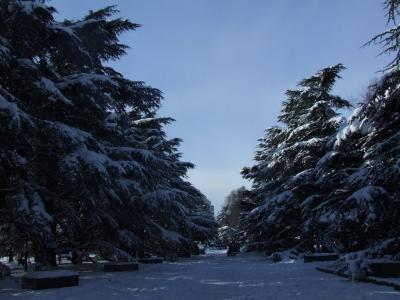 Прикрепленное изображение: p08.jpg